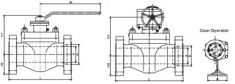 Drawing & Dimensions of Top Entry Trunnion Ball Valves