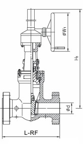 Pressure Sealed Gear Op. Gate Valves 1500LB & 2500LB