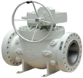 Top entry trunnion ball valve, one piece body.