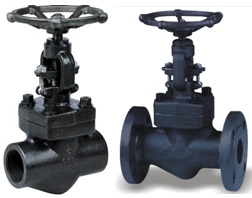 API 602 forged steel globe valve