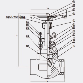 Forged steel globe valve bolted bonnet.