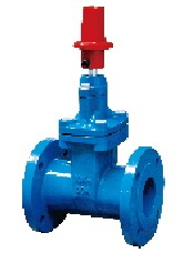 10K resilient seat gate valve.