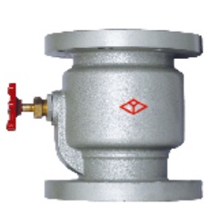 10K Vertical Check Valve