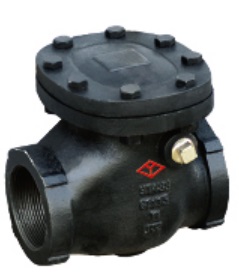 125LB Screw Connection Swing Check Valve