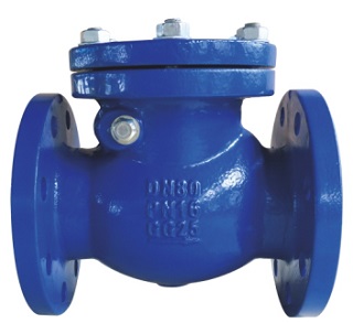 BS5153 Swing Check Valve