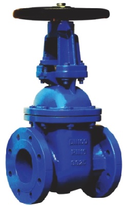 BS5163 OS&Y Gate Valve