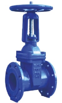 BS5163 Resilient Seat OS&Y Gate Valve