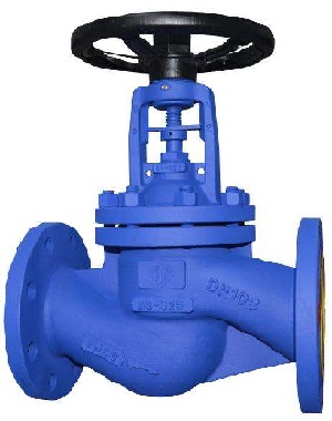 DIN Globe Valve