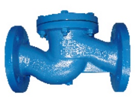 DIN Lift Check Valve 