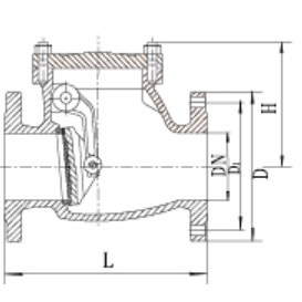 DIN Swing Check Valve