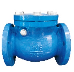 DIN Swing Check Valve