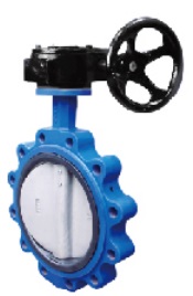 Wafer and Lug Type Butterfly Valve with Pin