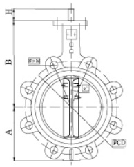 Wafer and Lug Type Butterfly Valve with Pin